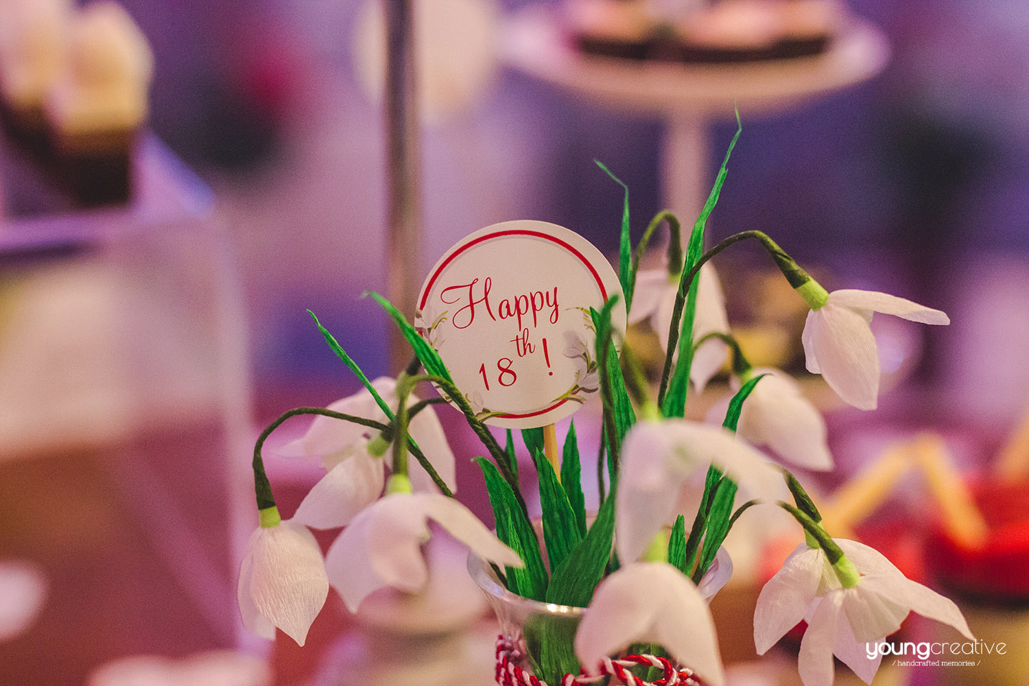 Majorat Gabi / Filipciuc Dan. Cristina Bejan. fotograf Iasi / youngcreative.info