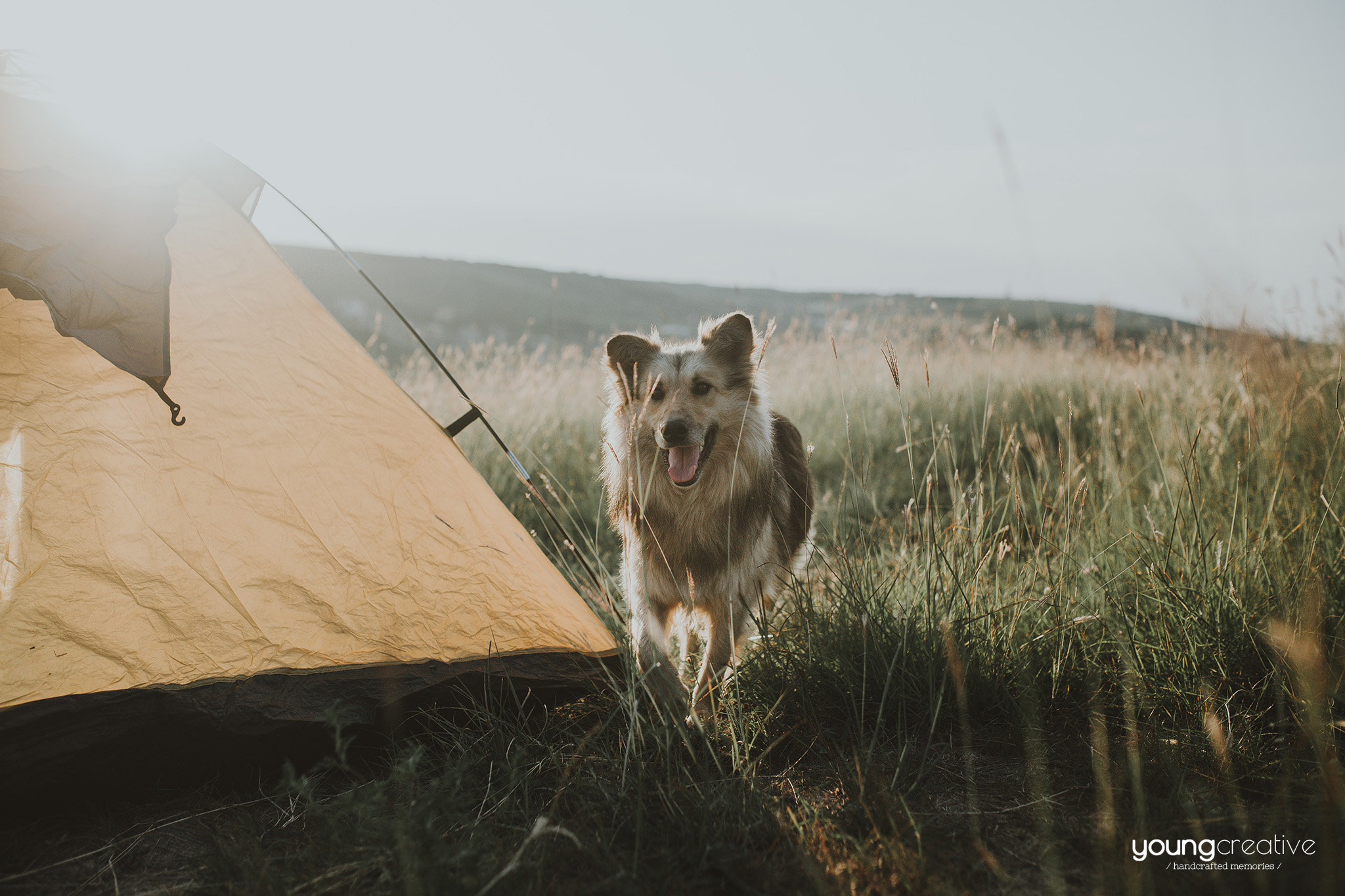 Andreea & Mihaita | youngcreative.info media © Dan Filipciuc, Cristina Bejan | save the date Iasi
