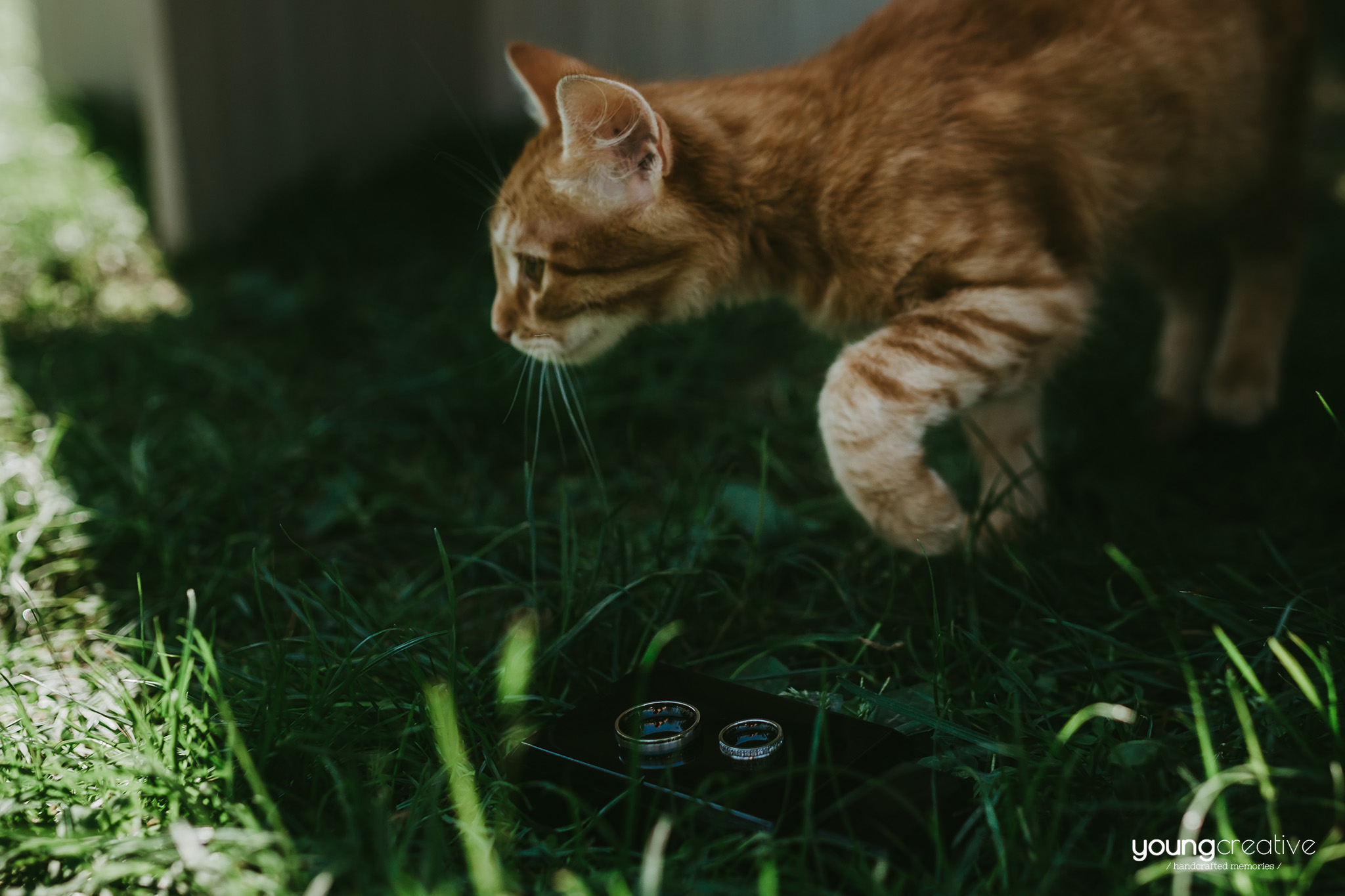 Iuliana & Cristian | youngcreative.info media © Dan Filipciuc, Cristina Bejan | fotografie nunta Roman