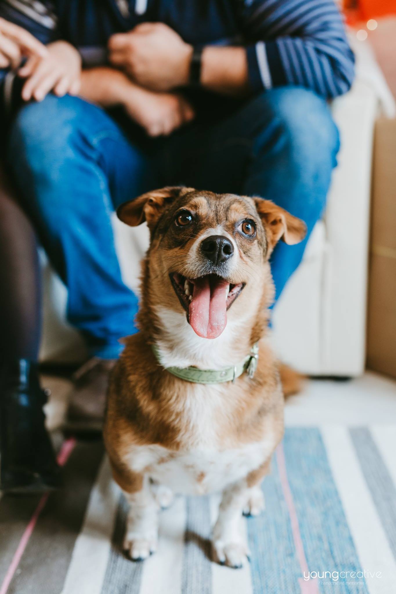 Christmas memories 2018 | youngcreative.info media © Dan Filipciuc, Cristina Bejan