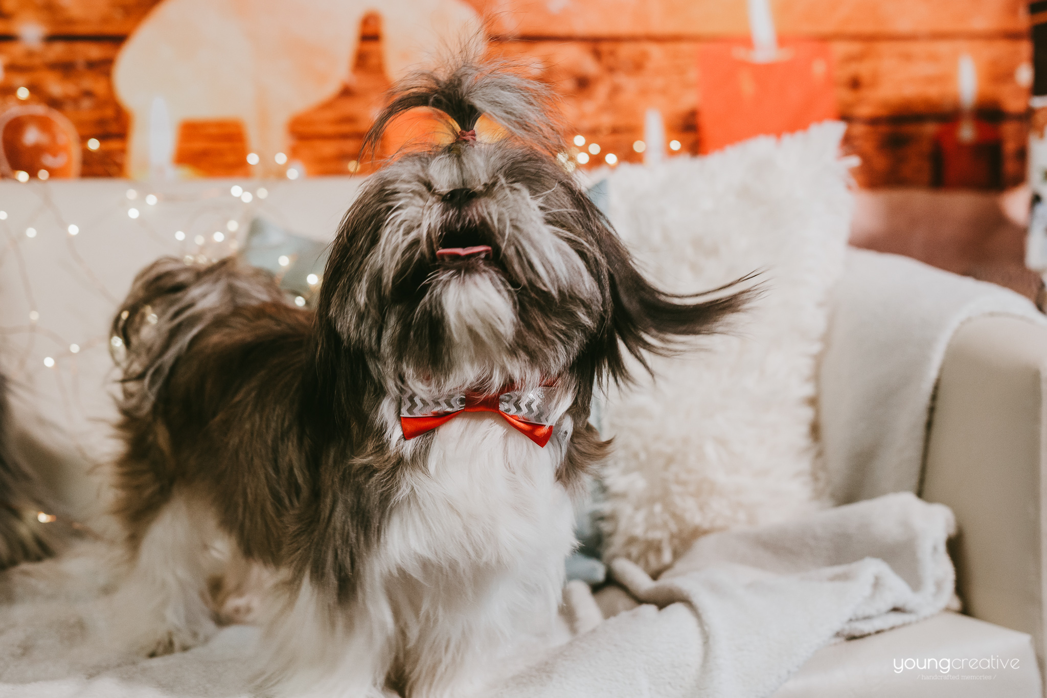 Christmas memories 2018 | youngcreative.info media © Dan Filipciuc, Cristina Bejan