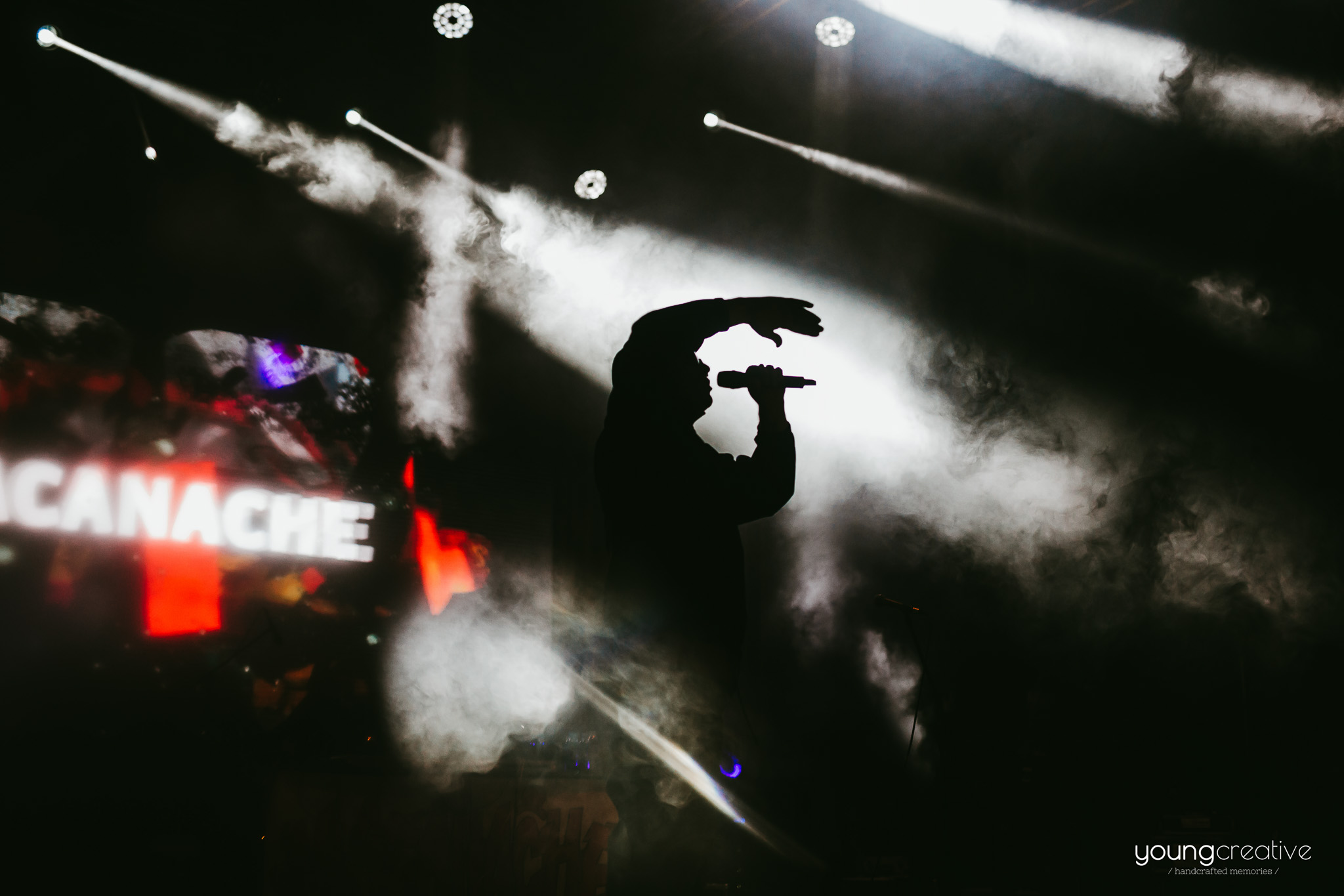 Rocanotherworld 2019, Macanache | youngcreative.info media | Cristina Bejan, Dan Filipciuc