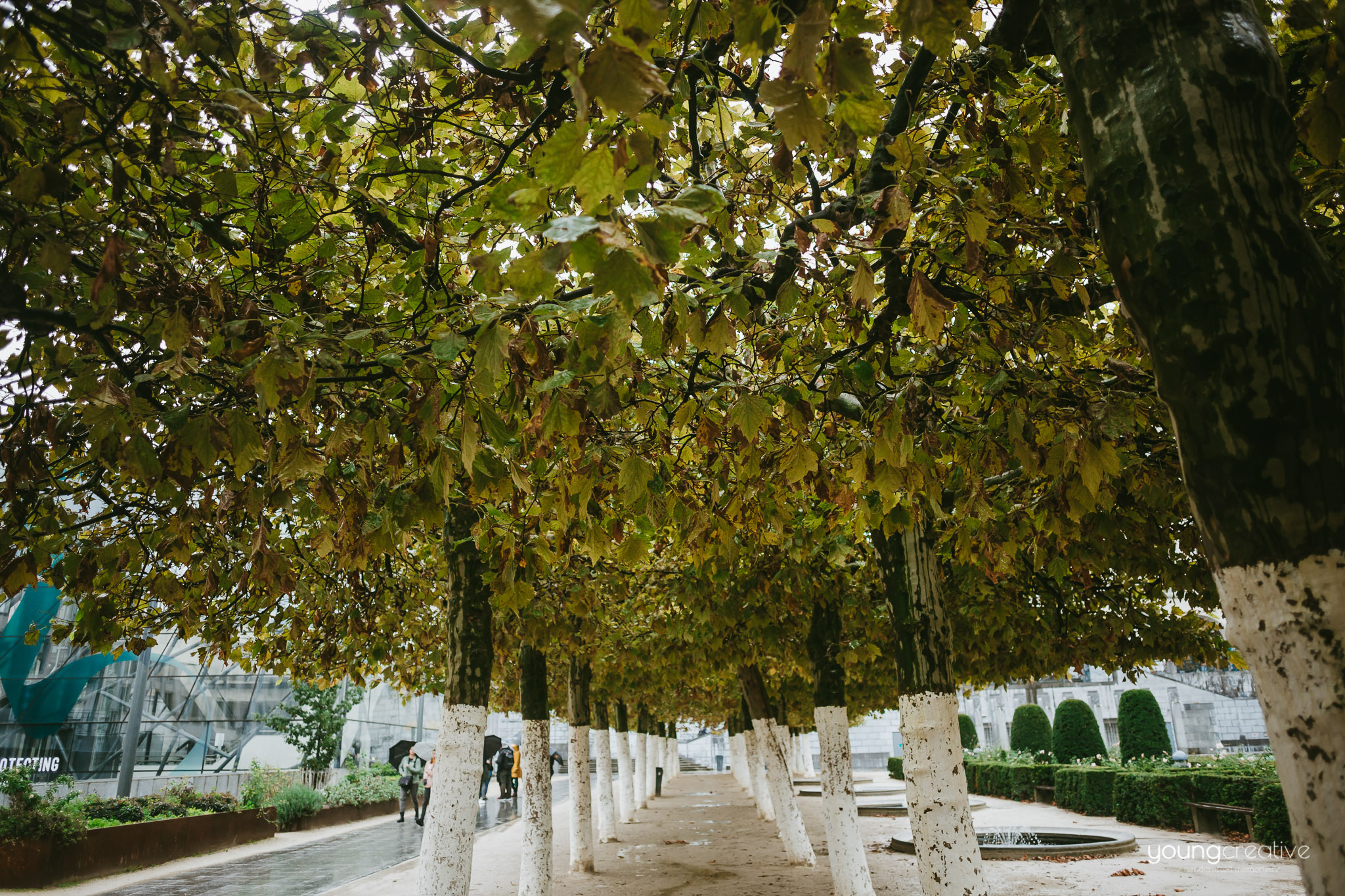 Travel with us @ Belgium | European wedding photographers, based in Romania with availability for destination stories worldwide | youngcreative.info