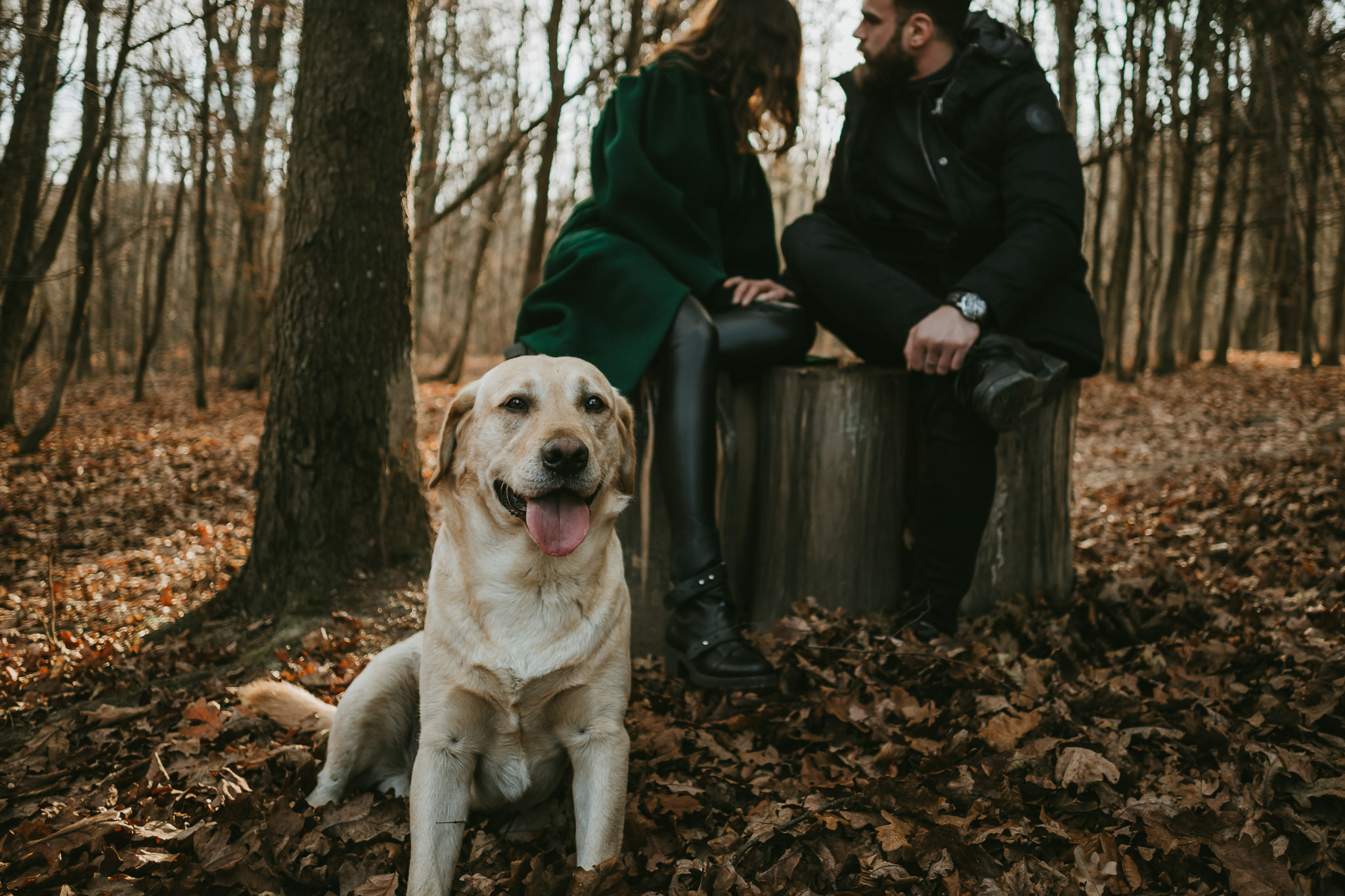 Claudia & Dragos, couple shooting | youngcreative.info media © Dan Filipciuc, Cristina Bejan | fotograf de destinatie, nunta