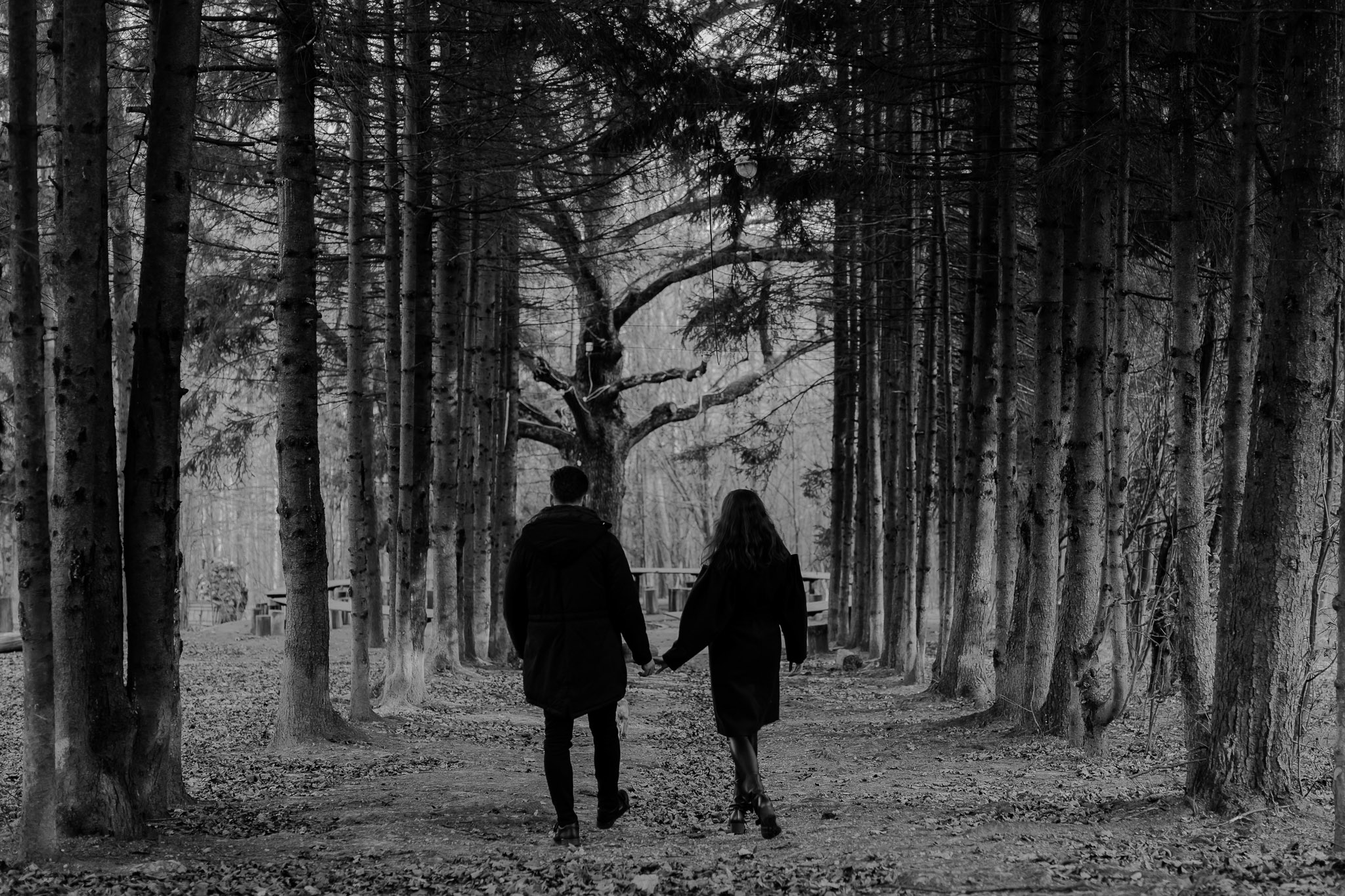 Claudia & Dragos, couple shooting | youngcreative.info media © Dan Filipciuc, Cristina Bejan | fotograf de destinatie, nunta