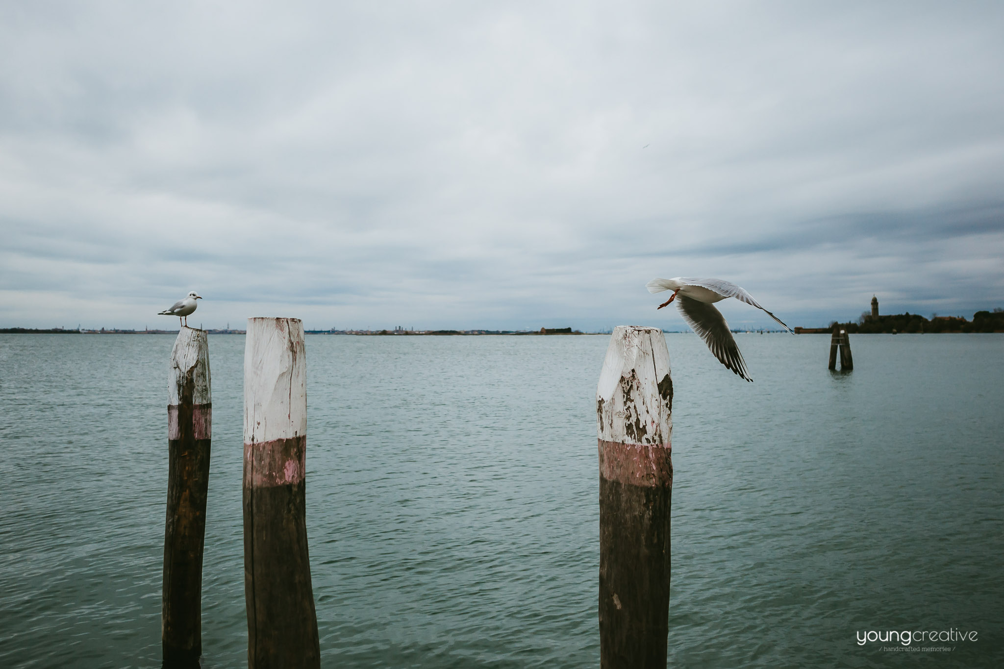 Travel with us @ Venice | European wedding photographers, based in Romania with availability for destination stories worldwide | youngcreative.info