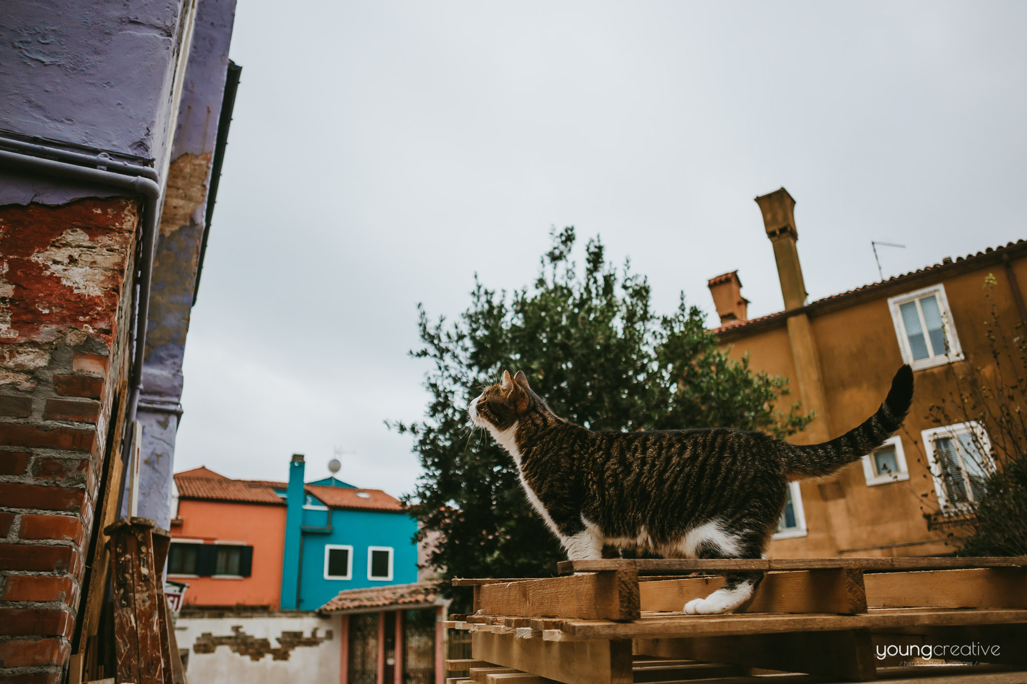 Travel with us @ Venice | European wedding photographers, based in Romania with availability for destination stories worldwide | youngcreative.info