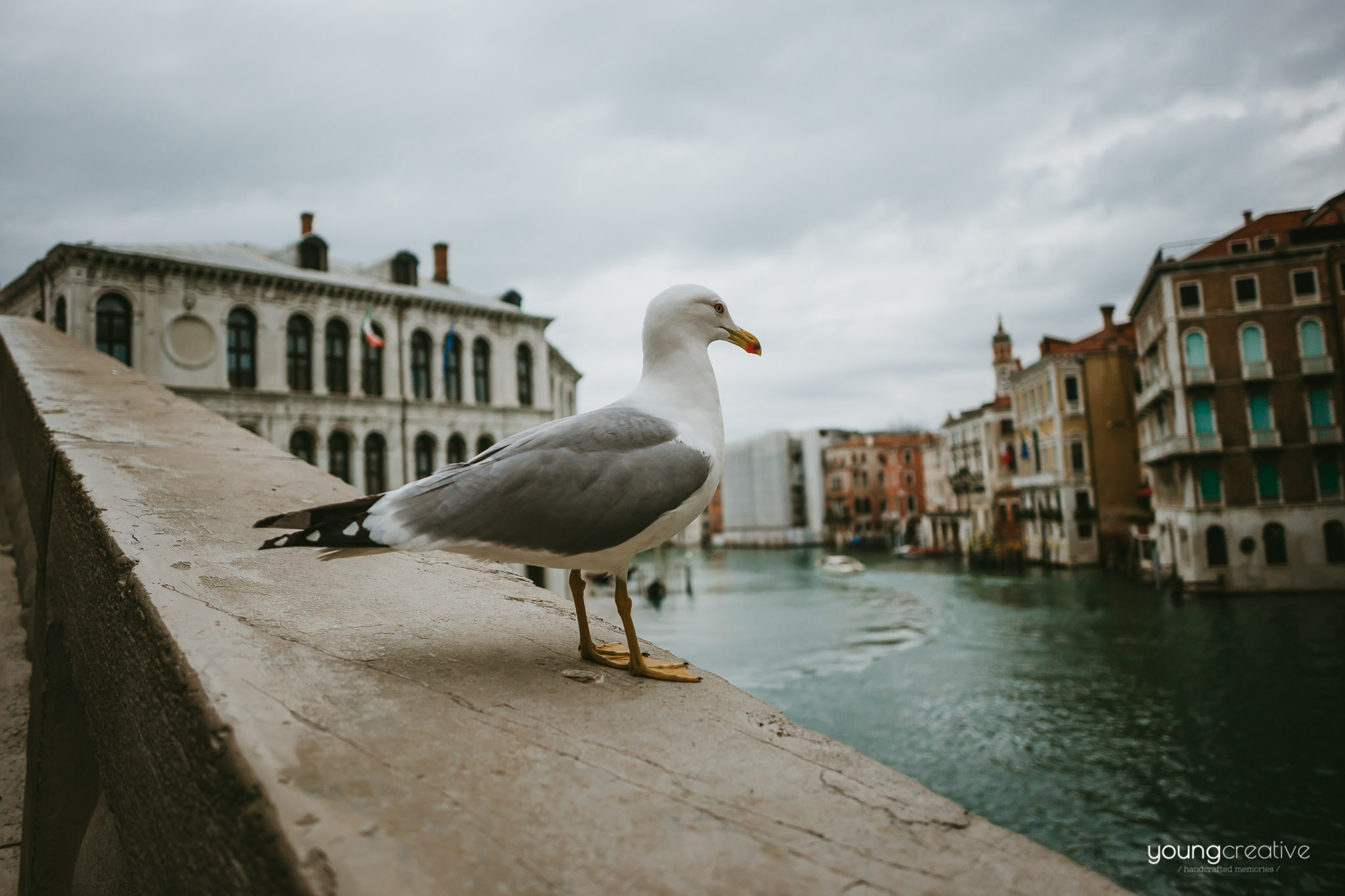 Travel with us @ Venice | European wedding photographers, based in Romania with availability for destination stories worldwide | youngcreative.info