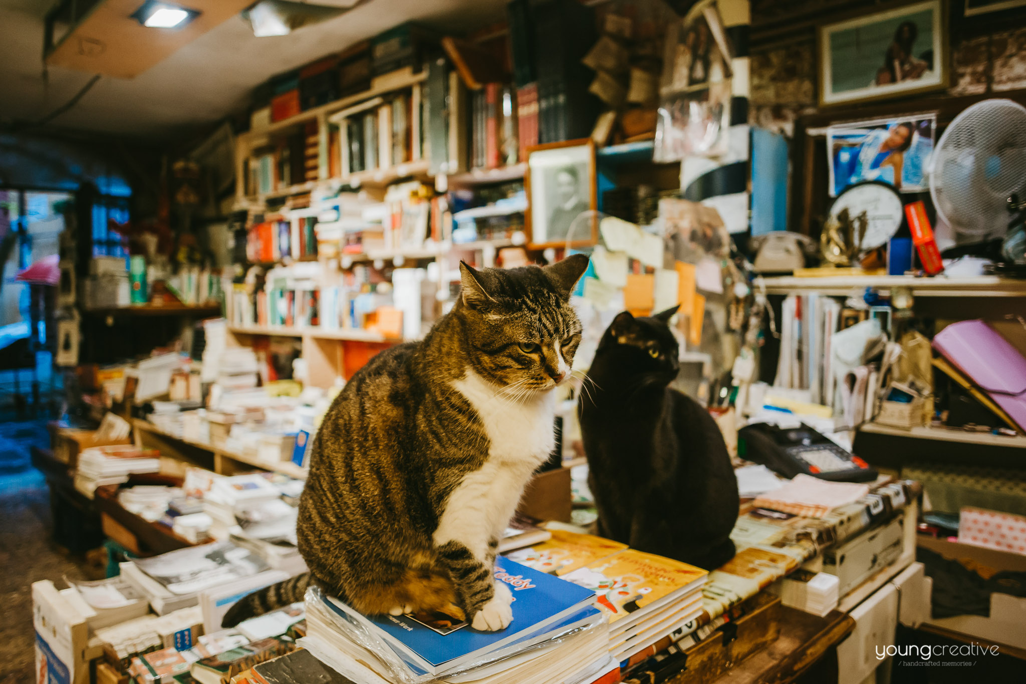 Travel with us @ Venice | European wedding photographers, based in Romania with availability for destination stories worldwide | youngcreative.info